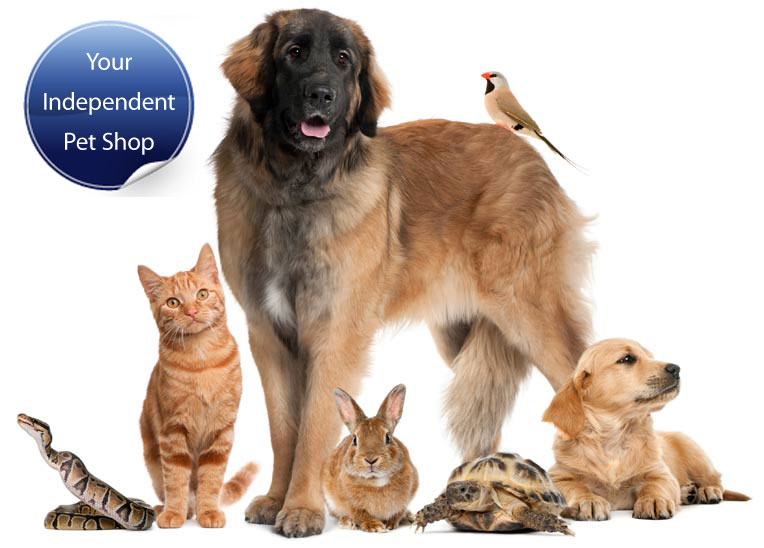 The Pet Food Shop Crowborough Pet Food Accessories